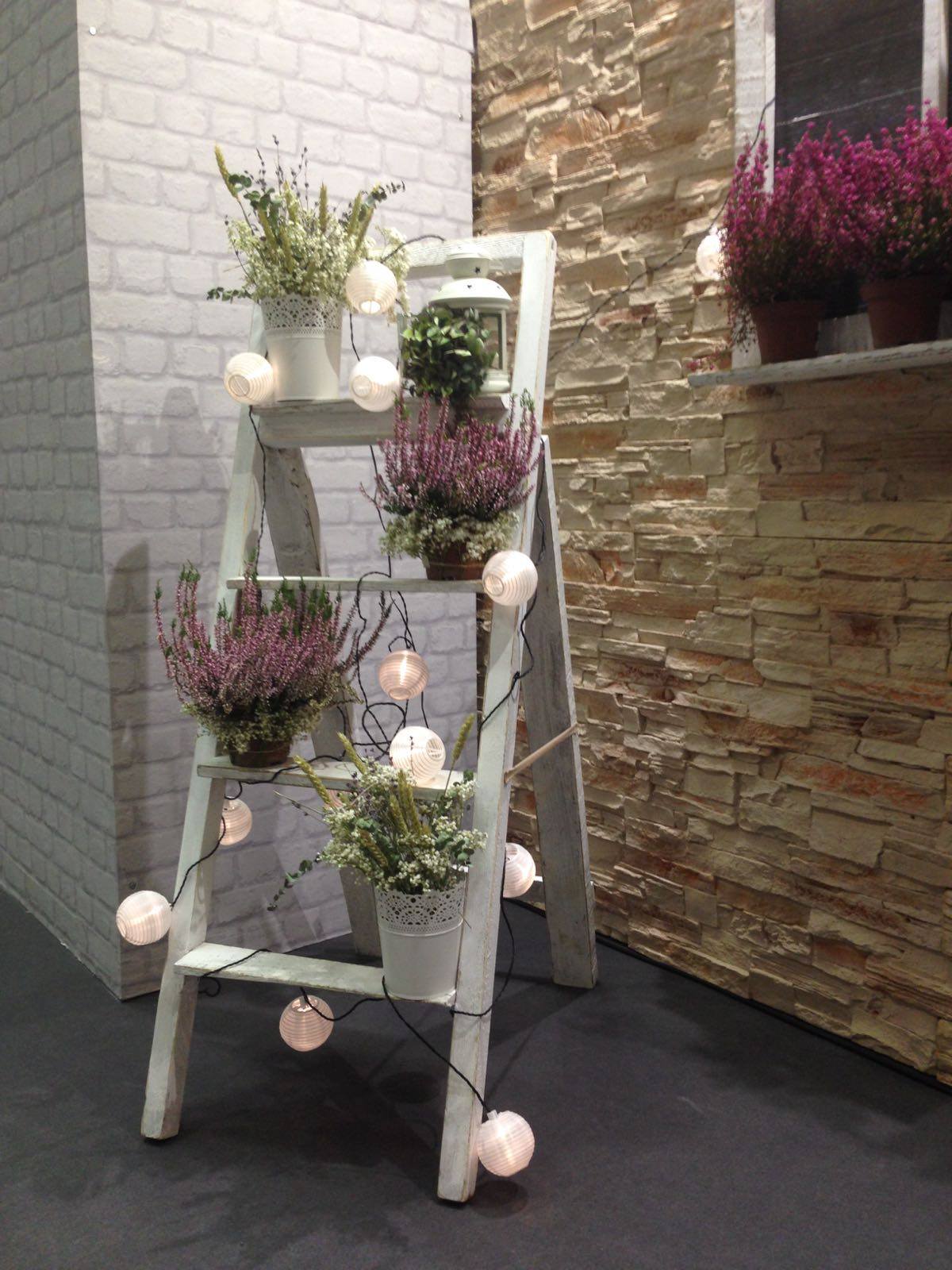 14633390_10154611516053524_3137710191385078686_o